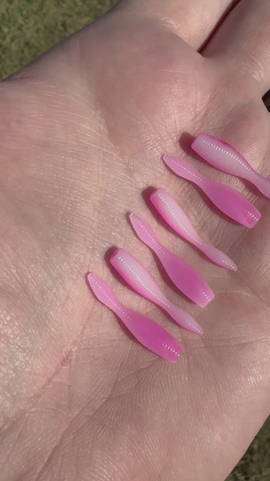 Pink Valentine 1” Leech