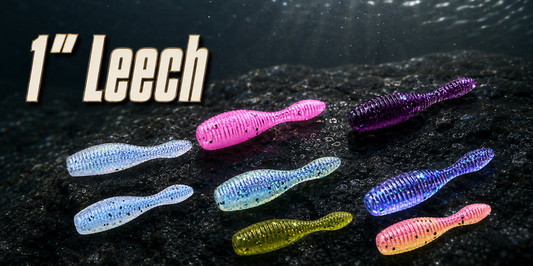 1" Leech