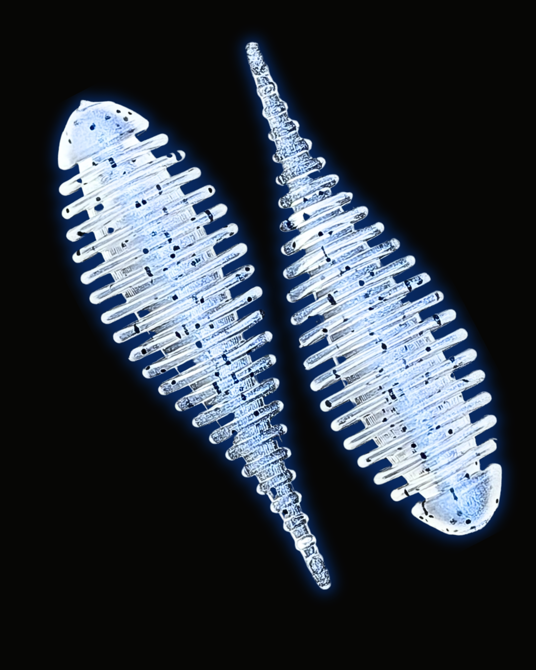 2.0” River Rib - Monkey Milk