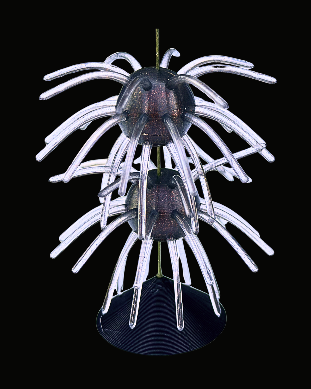 2.5" Tumbleweed - Black Gold