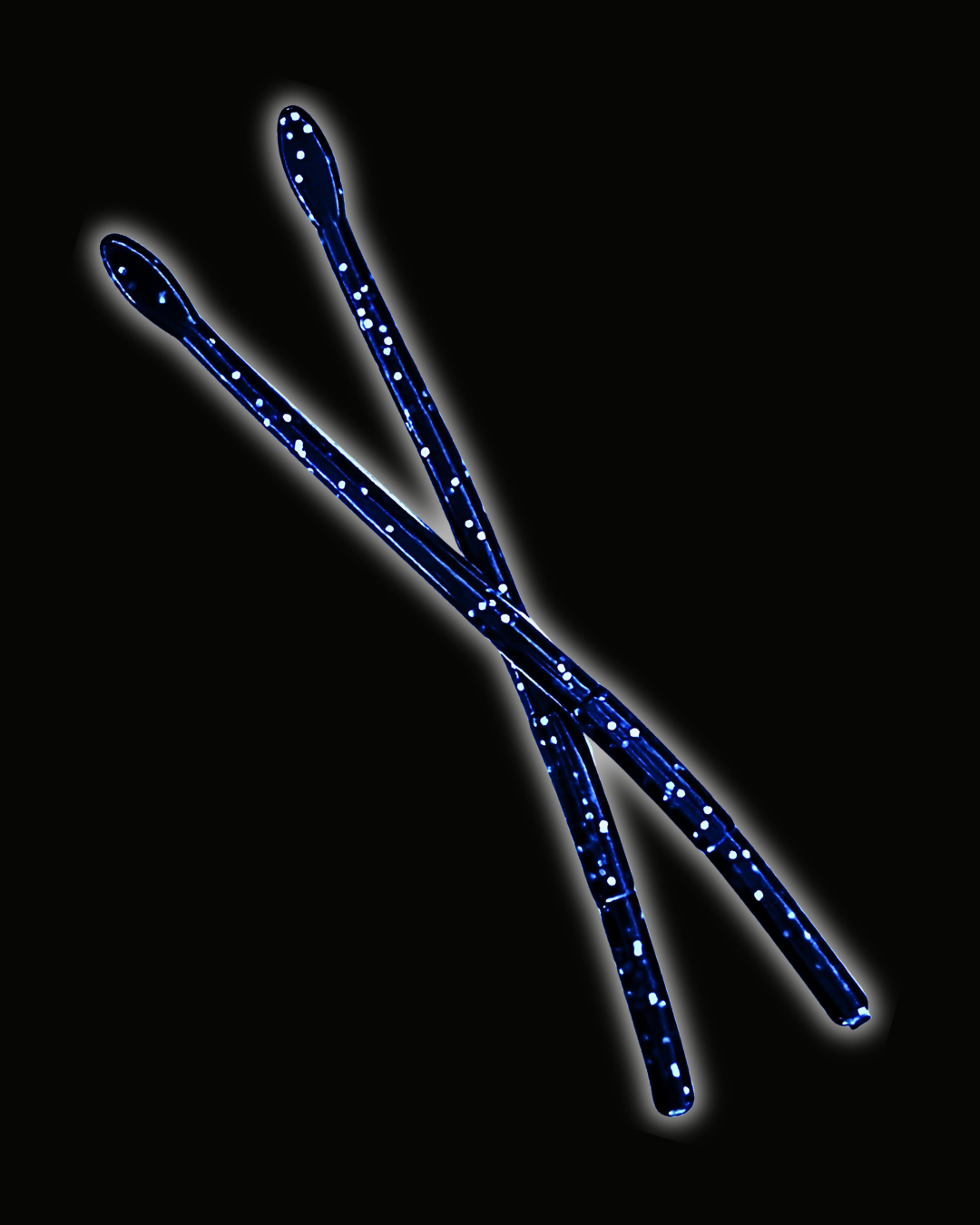 Okie Angler Co Okie Midnight 6" Drop Shot Worm bot style bass fishing baits on a black background.