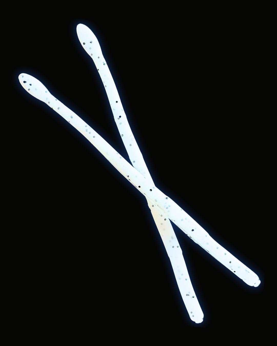 Okie Angler Co Salt and Pepper 6" Drop Shot Worm bot style bass fishing baits on a black background.