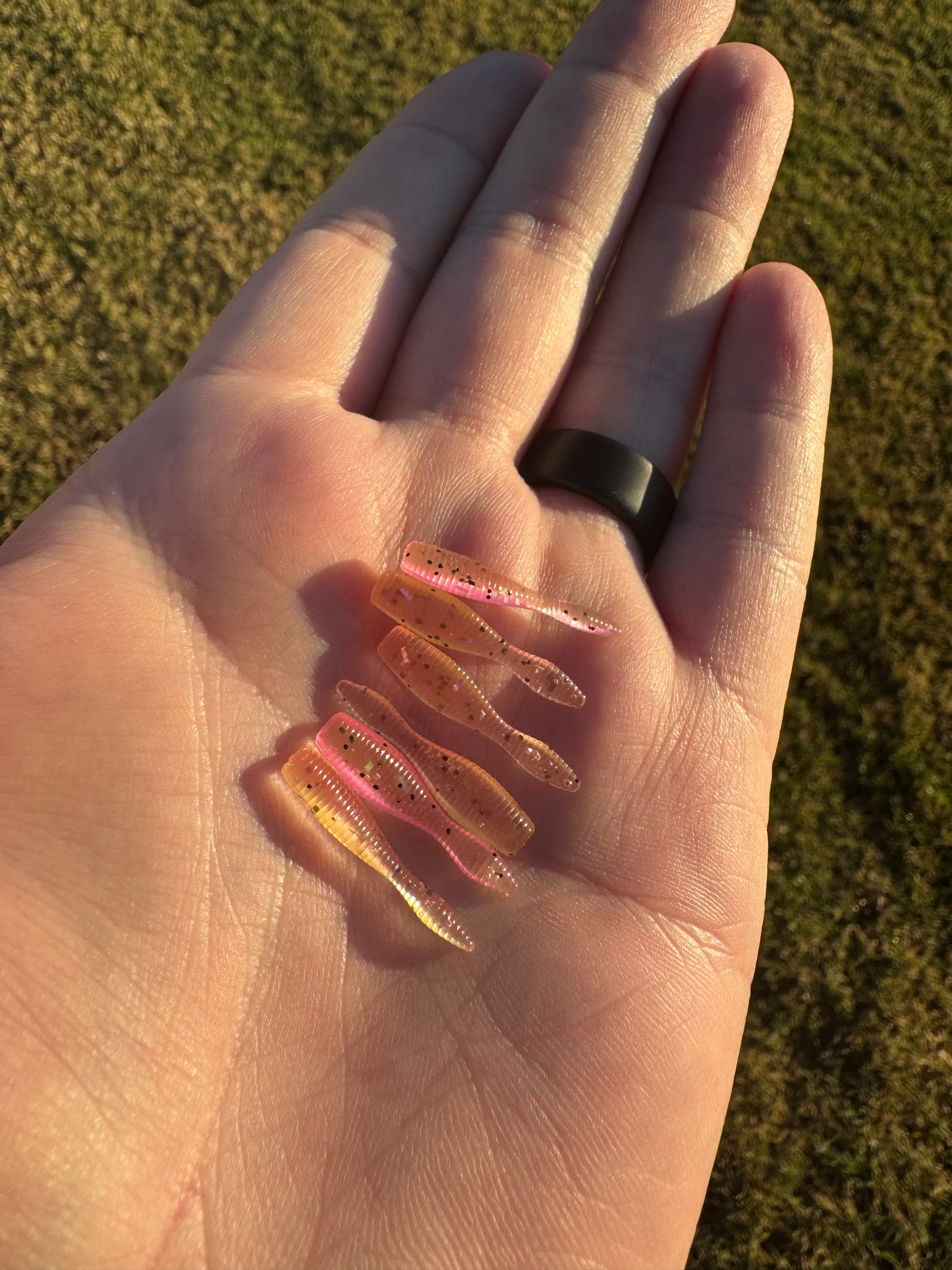 Okie Angler Co Pink Lemonade 1" Crappie Leech soft plastic lure for pan fishing.